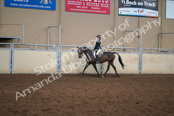 2019 Morgan Horse Show - Aug 30, 2019 - 12200