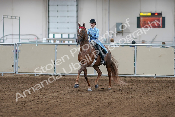 2020 - AB Morgan Horse - Sat, Sept 05 - 06090