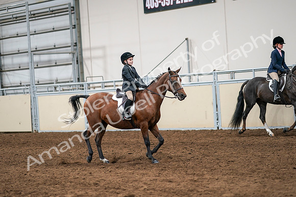 2020 - AB Morgan Horse - Sun, Sept 06 - 07991
