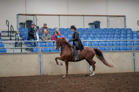 2019 Morgan Horse Show - Aug 30, 2019 - 26490