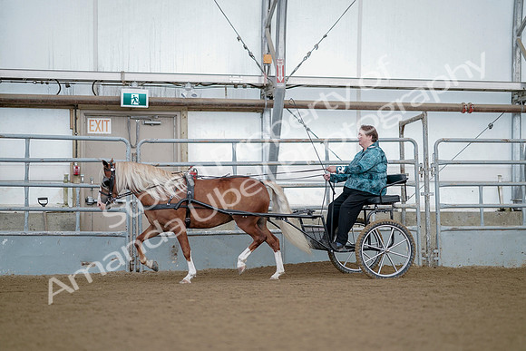 July 21, 2019 - 06746
