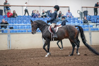 2019 Morgan Horse Show - Aug 31, 2019 - 19398