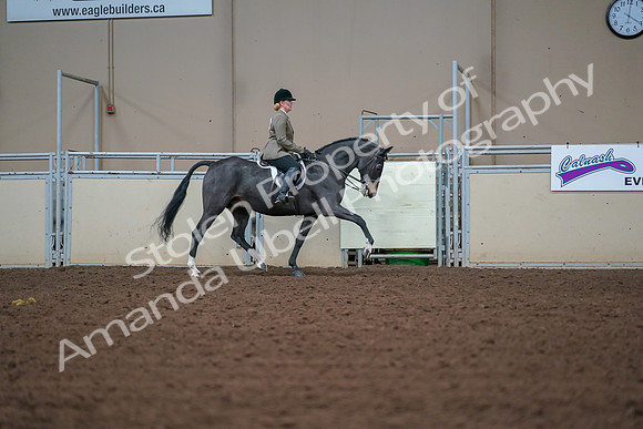 2019 Morgan Horse Show - Aug 30, 2019 - 20724