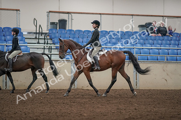 2019 Morgan Horse Show - Aug 31, 2019 - 04938