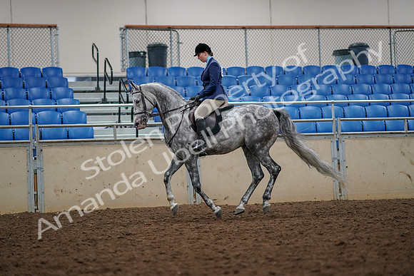 2019 Morgan Horse Show - Aug 30, 2019 - 22393