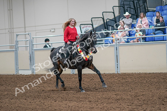 2020 - AB Morgan Horse - Sat, Sept 05 - 10499
