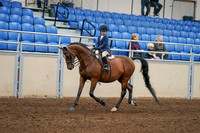 2020 - AB Morgan Horse - Fri, Sept 04 - 04480
