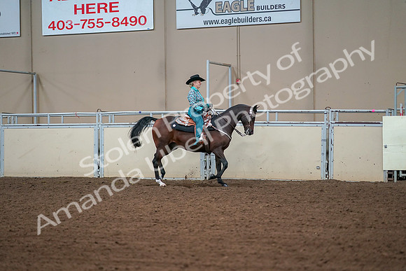 2019 Morgan Horse Show - Aug 30, 2019 - 17047