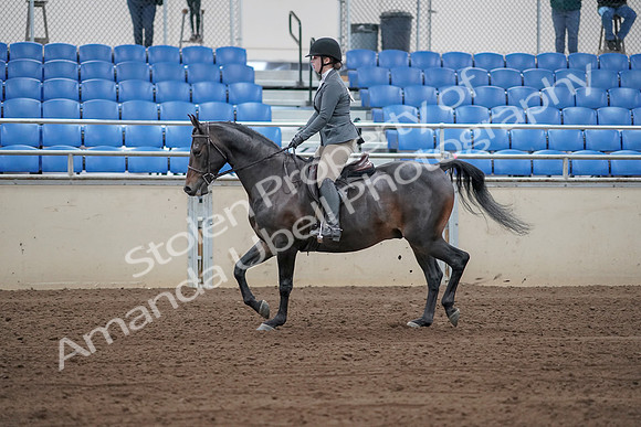 2019 Morgan Horse Show - Sept 01, 2019 - 10942_1