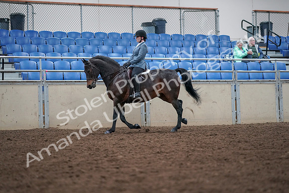 2019 Morgan Horse Show - Aug 30, 2019 - 18459