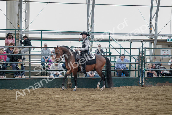 July 21, 2019 - 06570