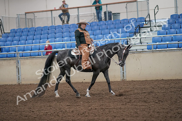 2019 Morgan Horse Show - Aug 31, 2019 - 06197
