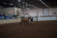 2019 Morgan Horse Show - Aug 31, 2019 - 01492