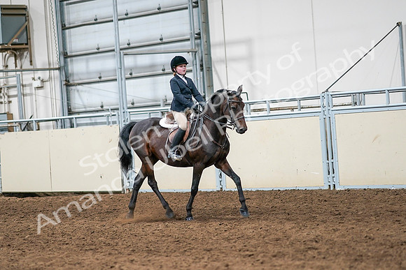 2020 - AB Morgan Horse - Sun, Sept 06 - 08129