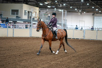 2020 - AB Morgan Horse - Fri, Sept 04 - 02214