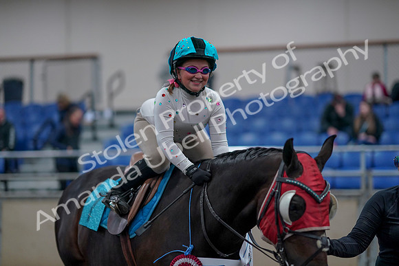 2019 Morgan Horse Show - Aug 31, 2019 - 10244