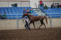 2019 Morgan Horse Show - Aug 31, 2019 - 02590