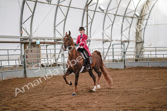 July 19, 2019 - 8809