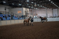 2019 Morgan Horse Show - Aug 31, 2019 - 01489