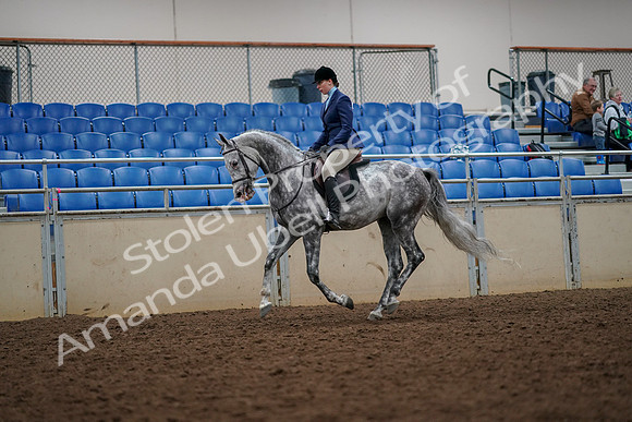 2019 Morgan Horse Show - Aug 30, 2019 - 22382