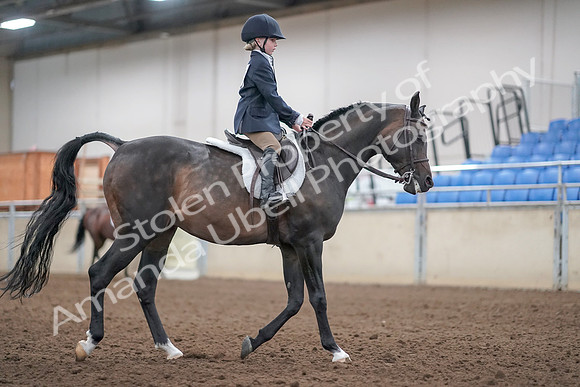 2019 Morgan Horse Show - Aug 31, 2019 - 19580