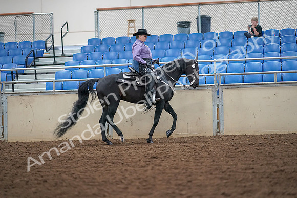 2019 Morgan Horse Show - Aug 30, 2019 - 16933