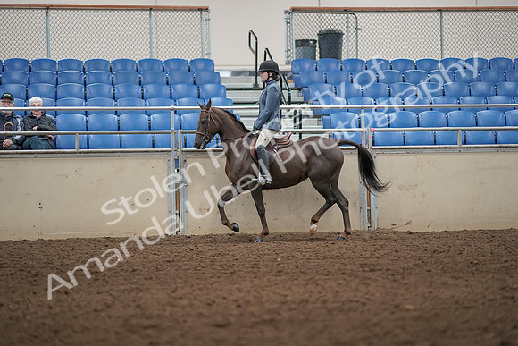 2019 Morgan Horse Show - Aug 31, 2019 - 04909