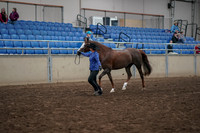 2019 Morgan Horse Show - Aug 31, 2019 - 02910