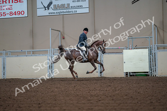 2019 Morgan Horse Show - Aug 30, 2019 - 17579