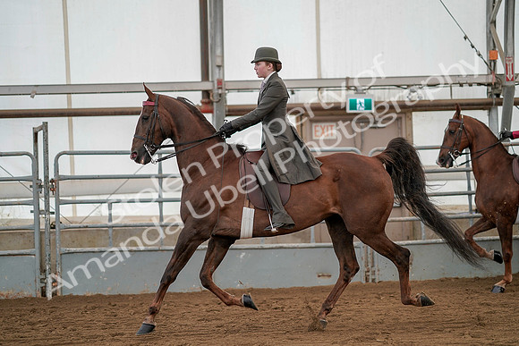 July 20, 2019 - 02226