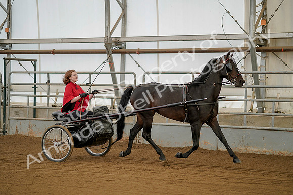July 20, 2019 - 00202