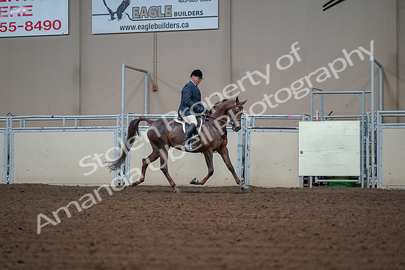 2019 Morgan Horse Show - Aug 30, 2019 - 17637