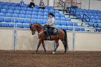 2020 - AB Morgan Horse - Fri, Sept 04 - 05703