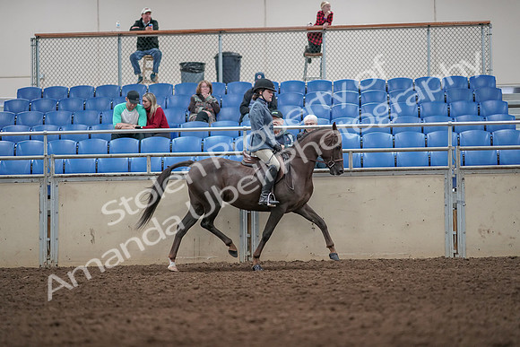 2019 Morgan Horse Show - Aug 31, 2019 - 07410