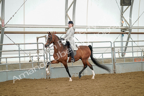 July 20, 2019 - 07884