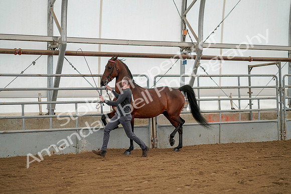 July 19, 2019 - 1246
