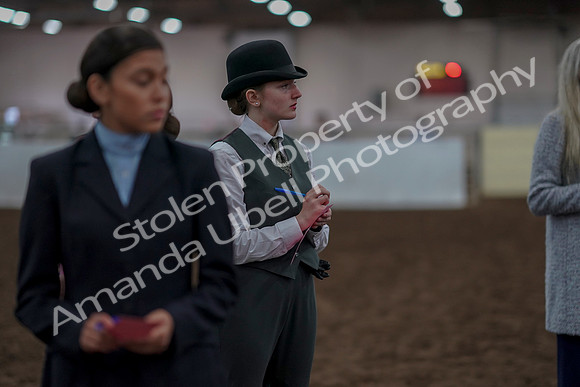 2019 Morgan Horse Show - Aug 31, 2019 - 03968