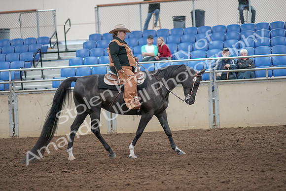 2019 Morgan Horse Show - Aug 31, 2019 - 06214