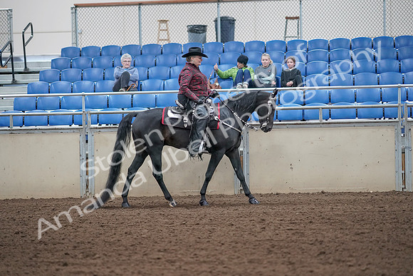 2019 Morgan Horse Show - Aug 31, 2019 - 10757
