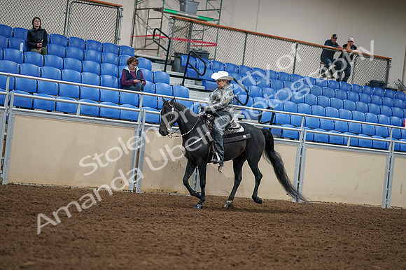 2020 - AB Morgan Horse - Fri, Sept 04 - 03548