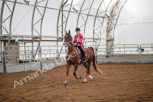 July 19, 2019 - 8801