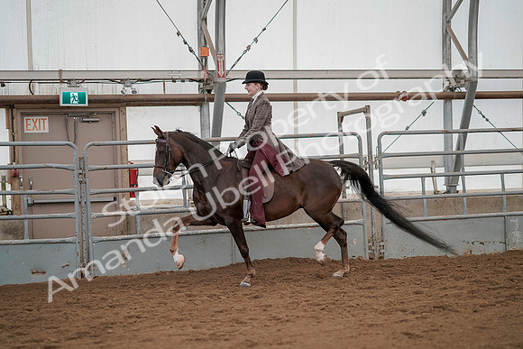 July 20, 2019 - 04462