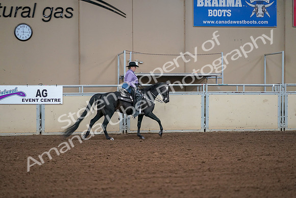 2019 Morgan Horse Show - Aug 30, 2019 - 16999