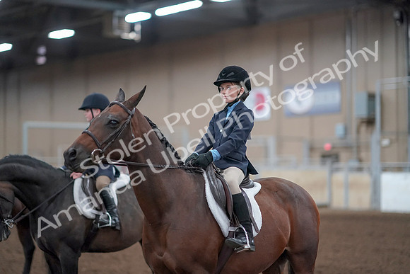2019 Morgan Horse Show - Aug 31, 2019 - 19698