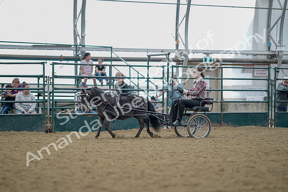 July 21, 2019 - 06869