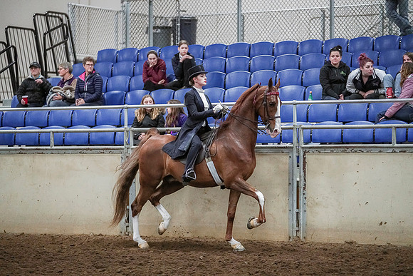 Spring Fling - Saturday - April 20, 2019  -  04389