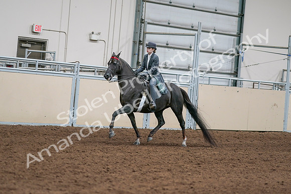 2020 - AB Morgan Horse - Sat, Sept 05 - 13620
