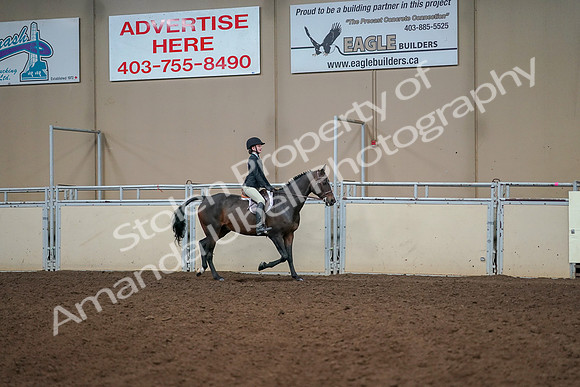 2019 Morgan Horse Show - Aug 30, 2019 - 12479