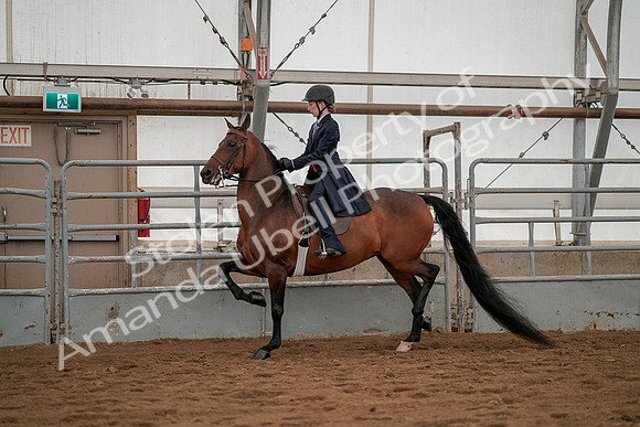 July 19, 2019 - 3803