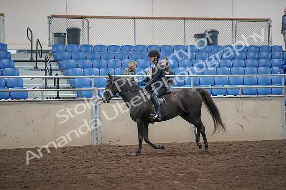 2019 Morgan Horse Show - Aug 31, 2019 - 07361
